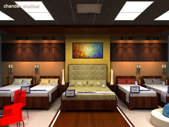 3D Visualizer: Chander Shekhar